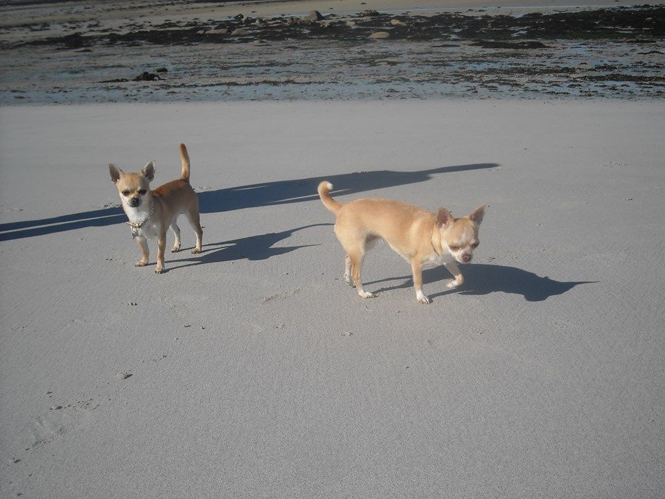 GALICE et HINAYA